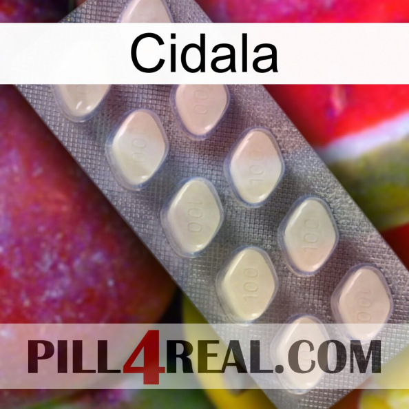Cidala 08